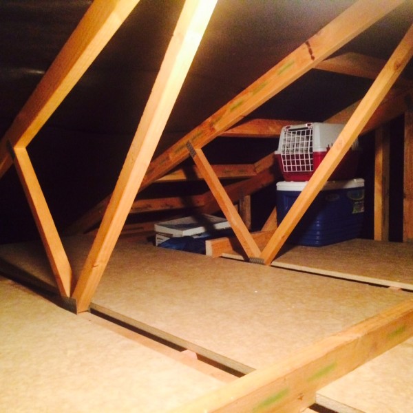 attic conversions auckland